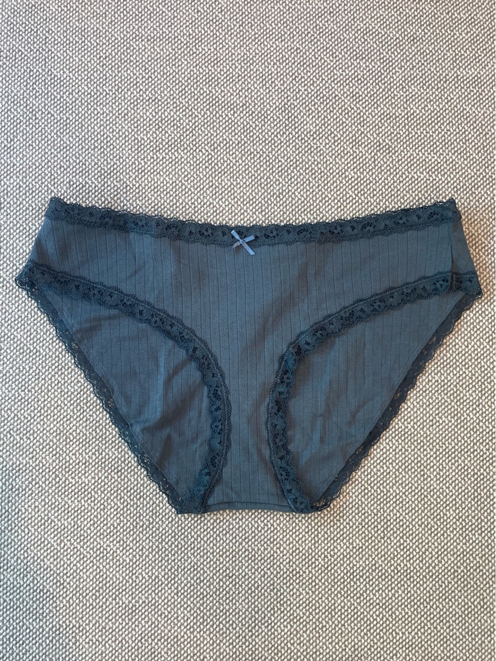 NWT SKIMS Women's Lace Trim Bikini Panty - Blue/Grey